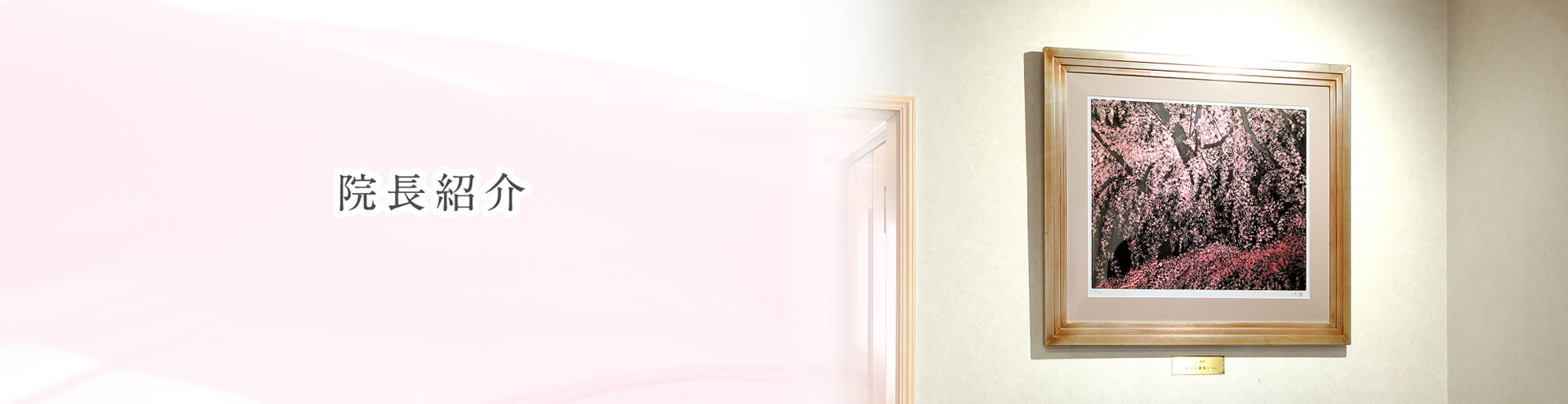 学会・研究会報告